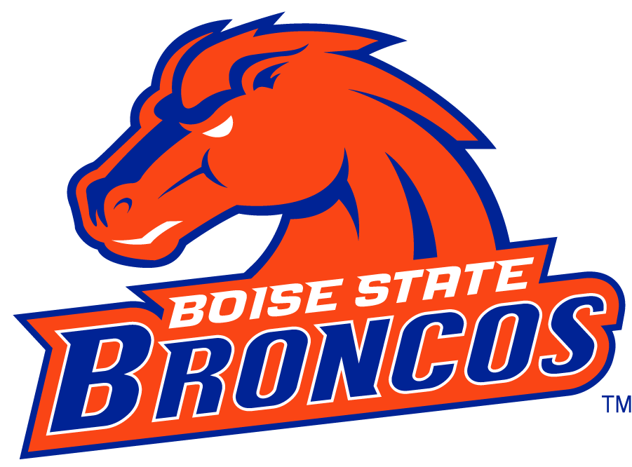 Boise State Broncos 2002-2012 Secondary Logo v8 DIY iron on transfer (heat transfer)